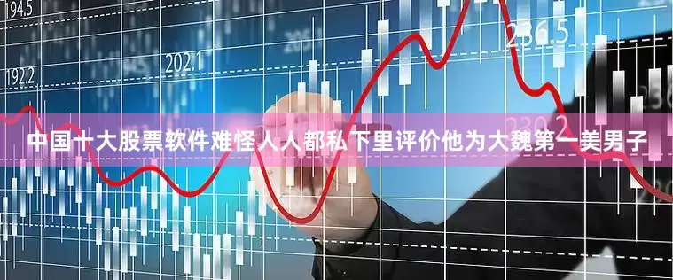 中国十大股票软件难怪人人都私下里评价他为大魏第一美男子