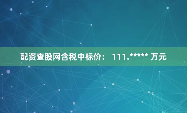 配资查股网含税中标价： 111.***** 万元