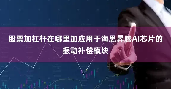 股票加杠杆在哪里加应用于海思昇腾AI芯片的振动补偿模块