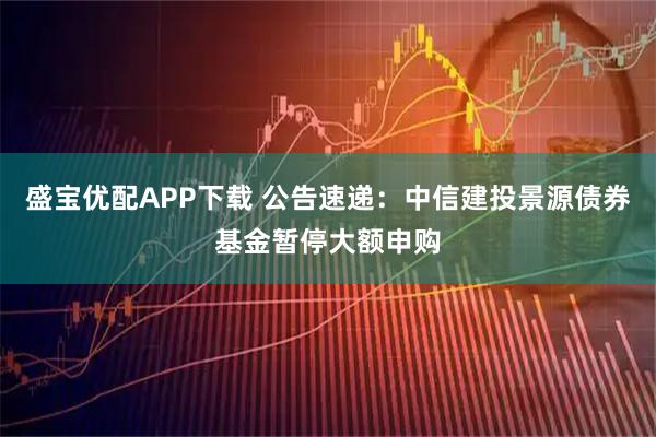 盛宝优配APP下载 公告速递：中信建投景源债券基金暂停大额申购